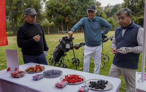 Campeonato-de-golf136